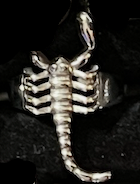 Tiny scorpion ring