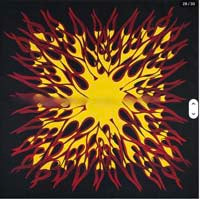 Polyester Flame