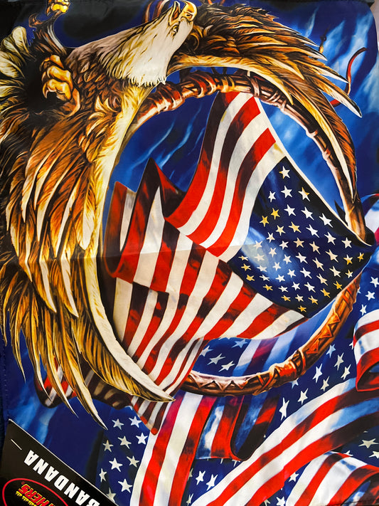 USA FLAG AND EAGLE